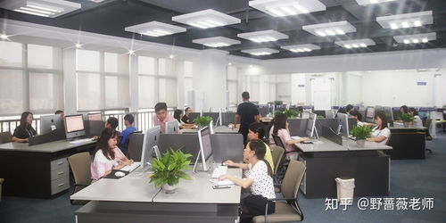 東莞東城電商淘寶運營與美工培訓 賦能企業(yè)，開啟數(shù)字商業(yè)新篇章